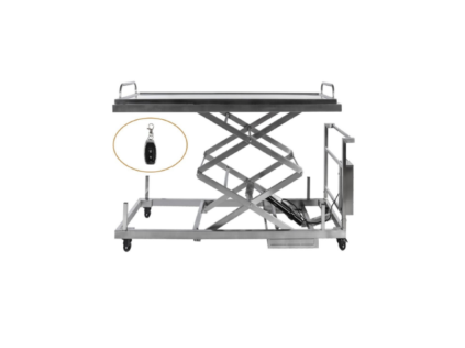 BODY LIFTING TROLLEY WITH REMOTE 2
